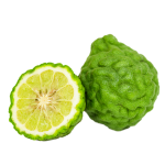 Bergamot