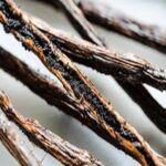Black Vanilla Husk