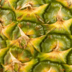 Ananas Yaprağı