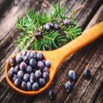 Juniper Berries