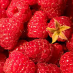 Raspberry